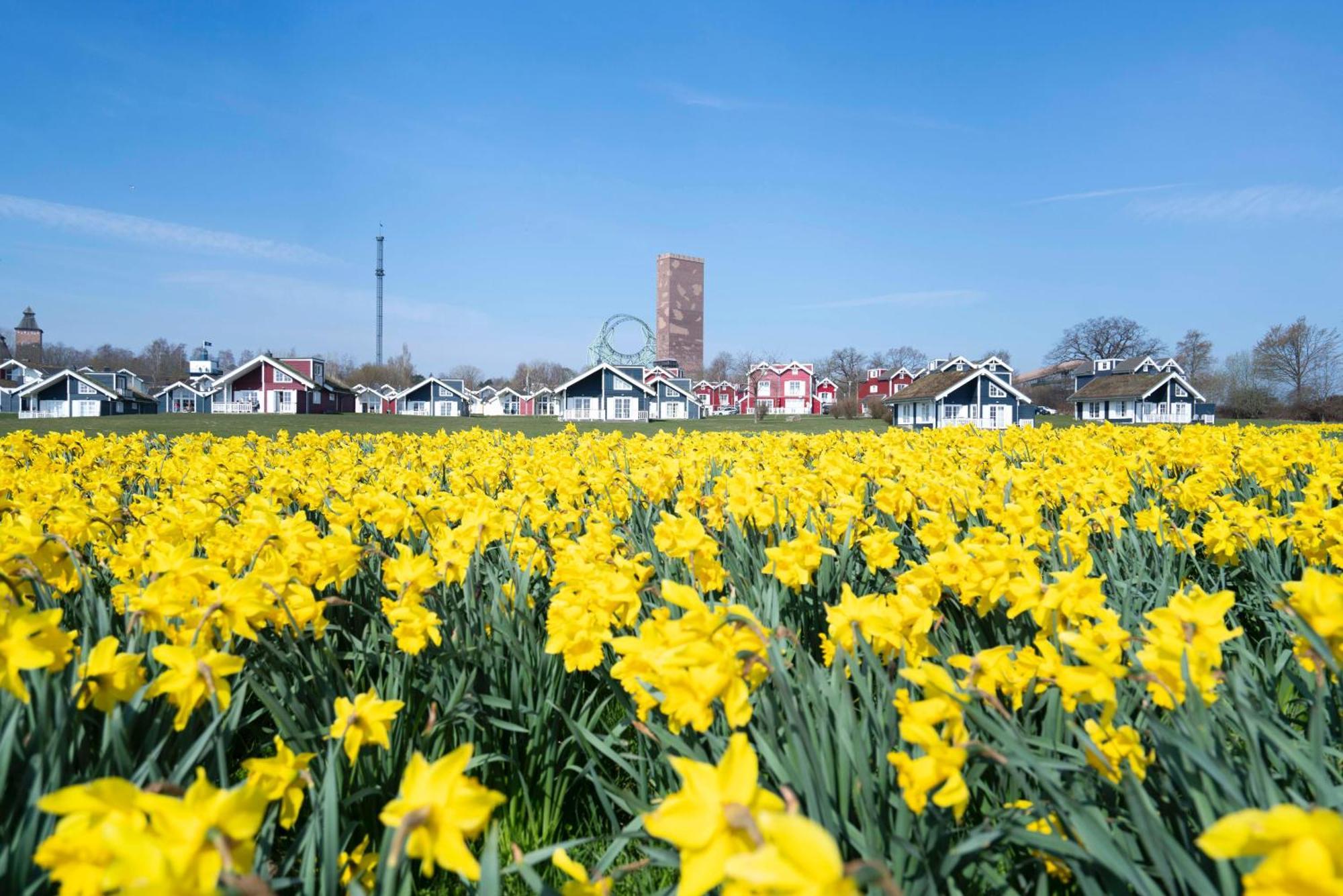 Strandpark Sierksdorf H092 "Ostsehblick" Buitenkant foto